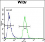 PIK3R5 Antibody (C-term)